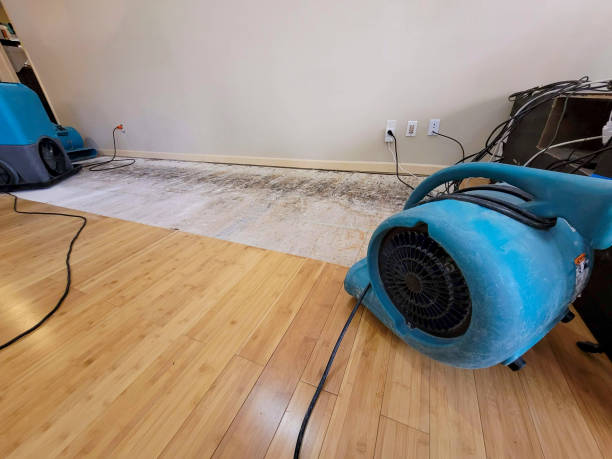 Professional Flood Damage Cleanup technician working in Marinette, WI